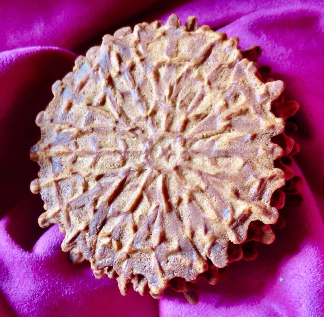 Cinnamon and Spice Crunchy Wafer